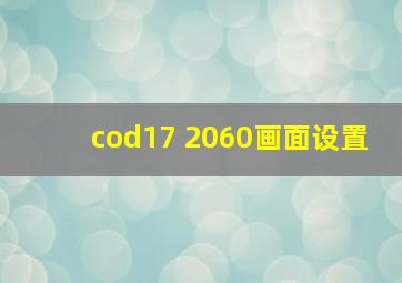 cod17 2060画面设置